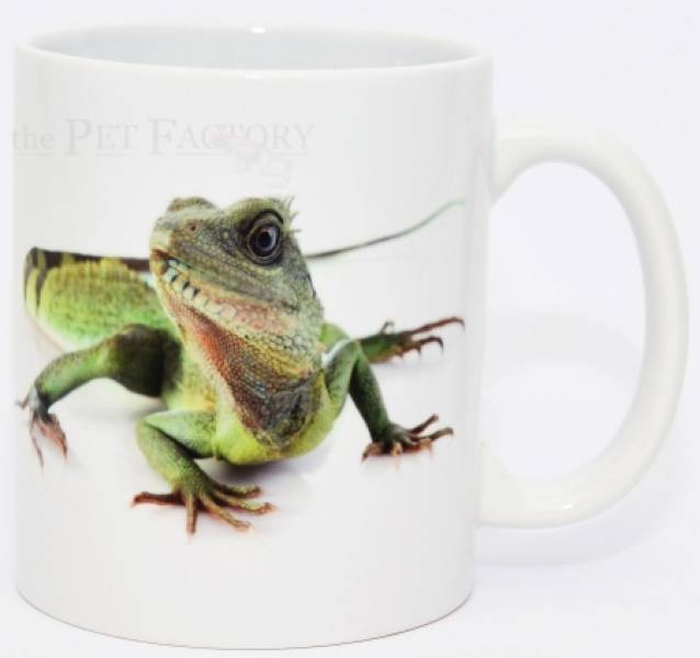 Kaffeebecher "Physignathus"